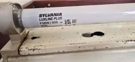 Photo of free Fluorescent ceiling light (Ellesmere Port, CH66) #2