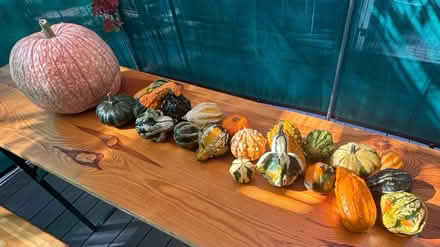 Photo of free Decorative gourds and pumpkin (Watkins Lake Rd and Dixie Hwy) #1