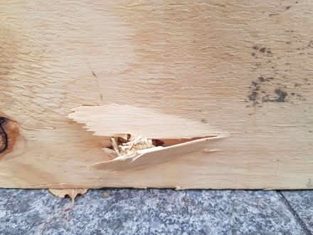 Photo of free Plywood sheets x 2 (Gospel Oak NW5) #3