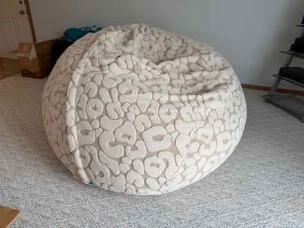 Photo of free LoveSac - must pick up Tuesday (Lemont) #2
