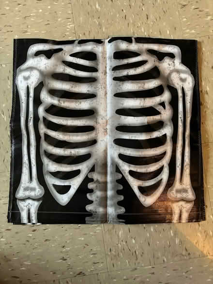 Photo of free Halloween Chair Covers (2831 Exterior Street, Bronx) #1