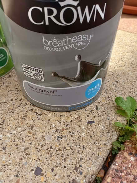 Photo of free Unused paint (Peachcroft OX14) #3