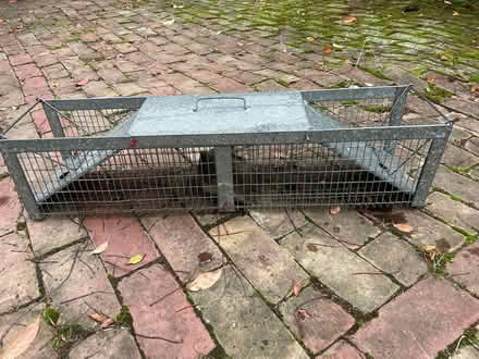 Photo of free Humane Animal Trap (Cleveland Park) #1