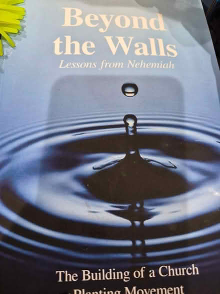 Photo of free Books (Bowie) #2