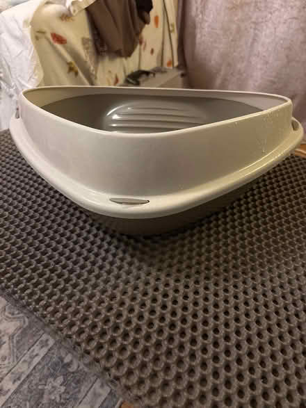 Photo of free Litter tray and mat (Wells BA5) #2
