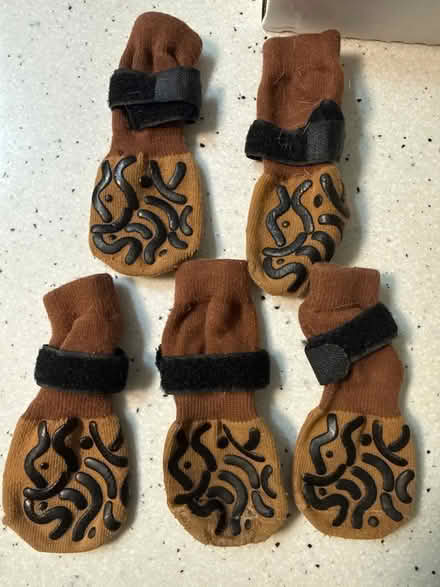 Photo of free Gripper socks for dogs (Chelmsford, MA) #1