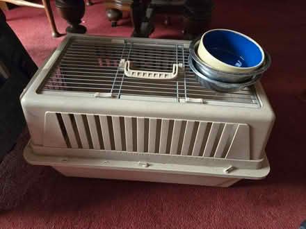 Photo of free Cat/dog basket and 3 bowls (Copnor PO3) #1