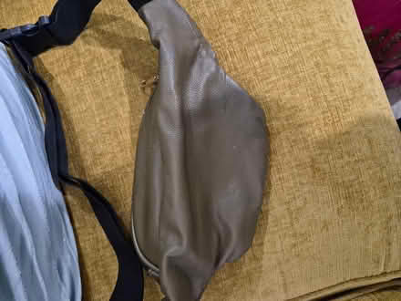 Photo of free Fanny Pack (Bowie) #2