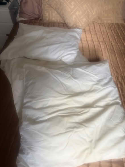 Photo of free 3 large cushion fillers. SW2 2LP (Brixton SW2) #2