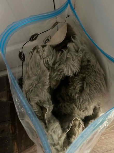 Photo of free Large sheepskin rug (Bognor Regis PO21) #1