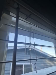 Photo of free 46 5/8 X 46 3/4 Blind (Ballard) #2