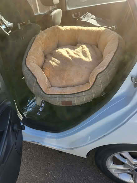 Photo of free Large, very plush dog bed (Bricket Wood AL2) #1