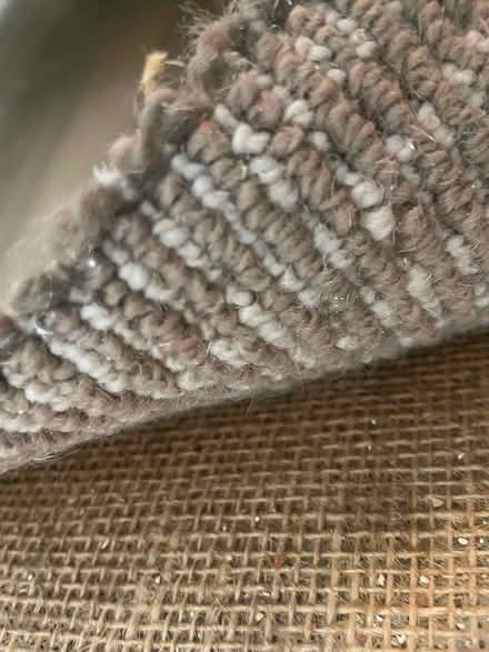 Photo of free Carpet (Annandale) #4