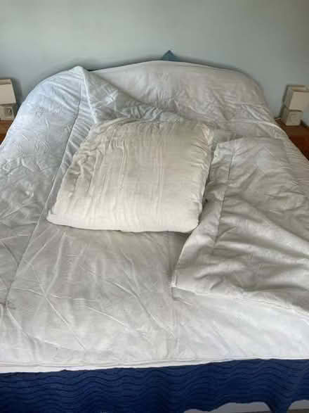 Photo of free Duvets and sag bag offered for pet bedding (Rowanfield GL51) #2