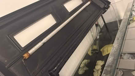Photo of free 6ft fish tank (Se16) #3