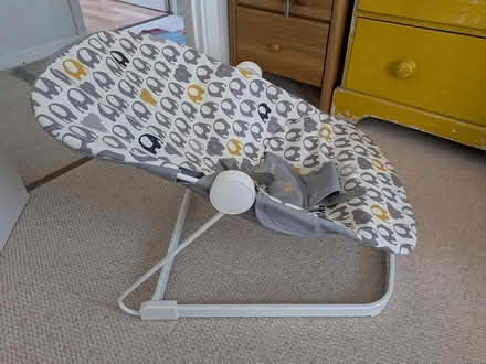 Photo of free Baby bouncer (Freshford) #2