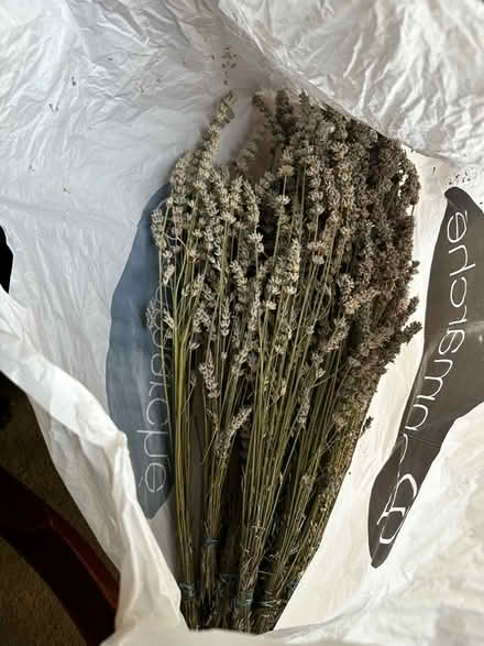 Photo of free Bag of dried lavender (Sanderstead CR2) #1