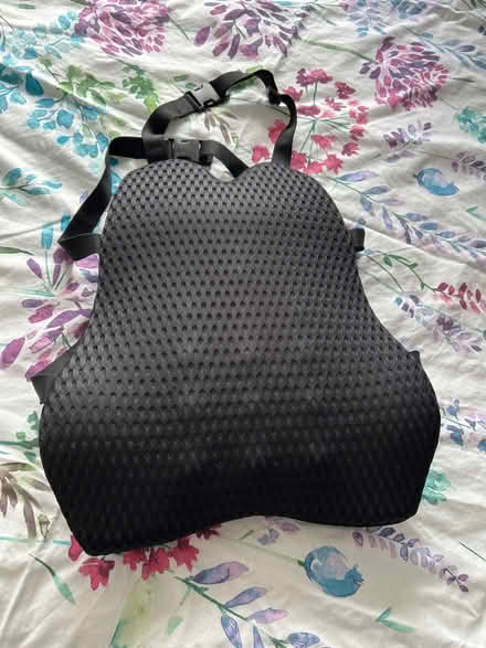 Photo of free Car seat back support (Hailsham BN27) #1