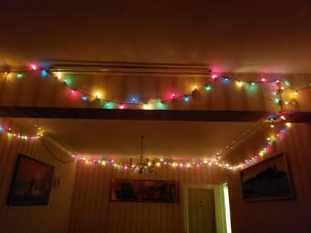 Photo of free Fairy lights, including spares (Kenton HA3) #2