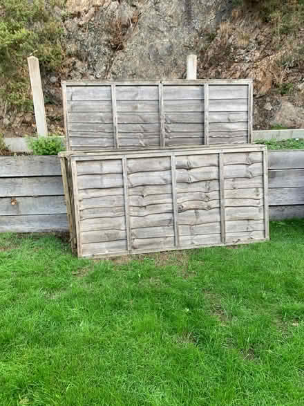 Photo of free Fence panels (Stiperstones SY5) #2