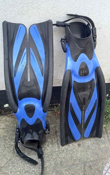 Photo of free Split Fins (Teignmouth TQ14) #1