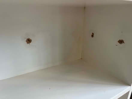 Photo of free Shelves (Peckham Rye SE15) #2