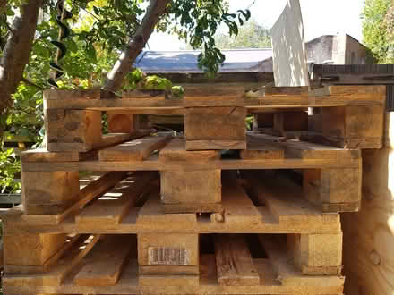 Photo of free Pallets x 12 (Gospel Oak NW5) #2