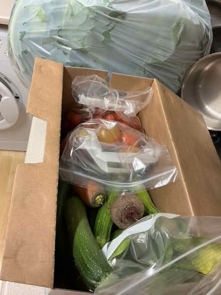Photo of free Surplus garden vegetables (Hyde Park LS6) #1