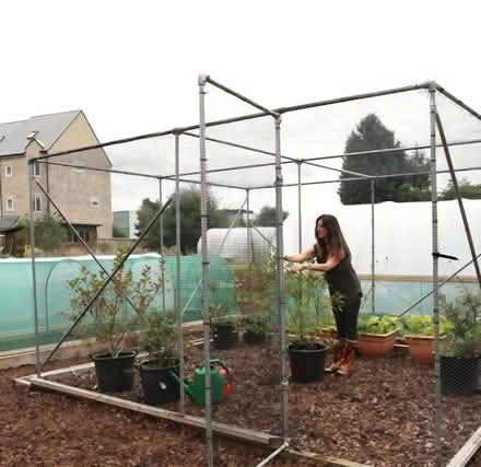 Photo of Fruit cage (Fackley NG17) #1