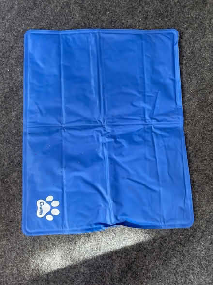 Photo of free Pet cooling mat (Chelmsford CM3) #1