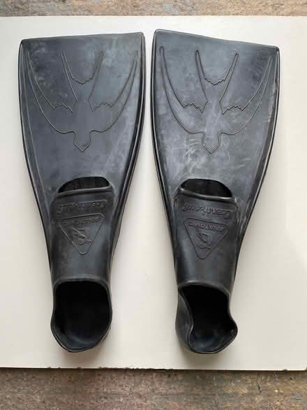 Photo of free Swimming Flippers (Rudford GL2) #1