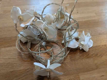 Photo of free Flower String Lights (Wanstead E11) #1