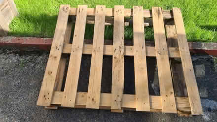 Photo of free Wooden Pallet (Llanelli SA15) #1