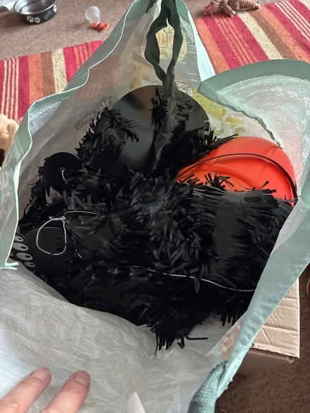 Photo of free Halloween Decorations (Tupsley HR1) #3