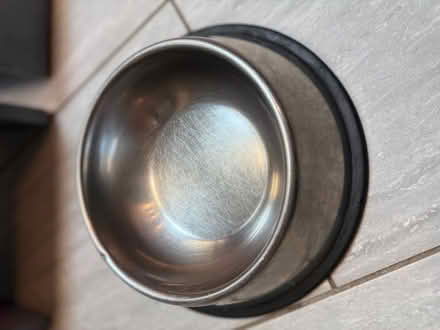 Photo of free Dog bowls with raised platforms (Chelmsford, MA) #2