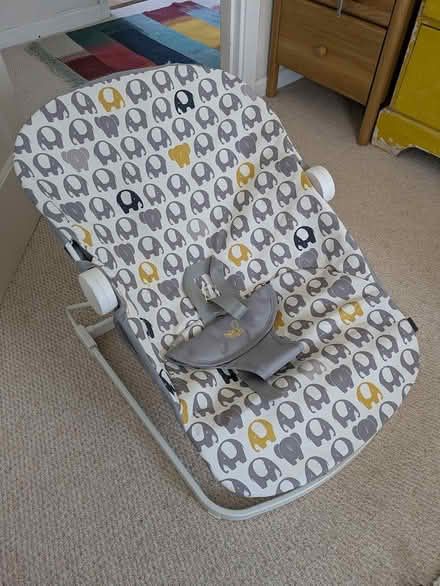 Photo of free Baby bouncer (Freshford) #1