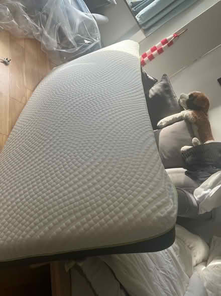 Photo of free Single bed mattress #2 (Hertford SG13) #1