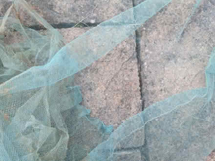Photo of free Garden netting, greenhouse shading (Cannon Park CV4) #3