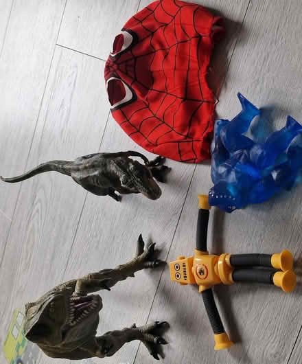 Photo of free Toys (Homerton E9) #1