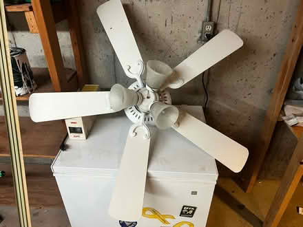 Photo of free Ceiling fan (Saint Peters) #1
