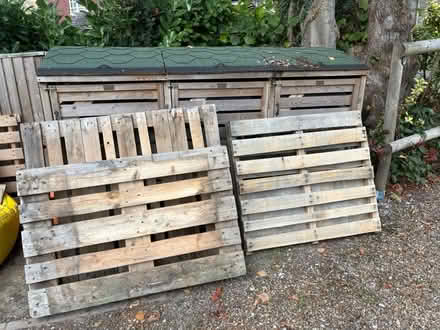 Photo of free 4 Pallets (Balcombe, RH17) #1