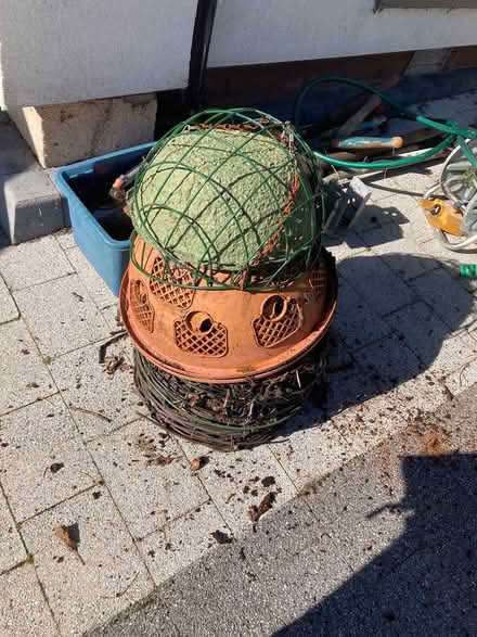 Photo of free Hanging baskets (Dunfermline KY11) #1