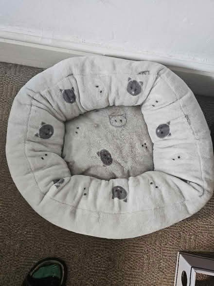 Photo of free Pet bed (Hillsborough S6) #1