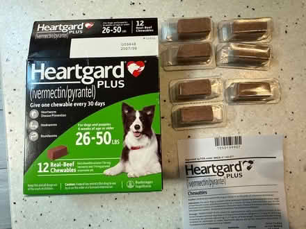 Photo of free Heart guard Plus for dogs 26-50 lbs (Chelmsford, MA) #1