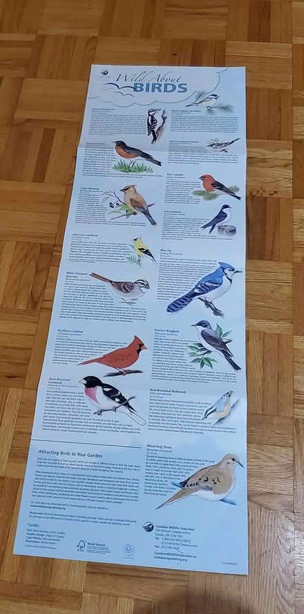 Photo of free Bird poster (Near Experimental Farm) #1
