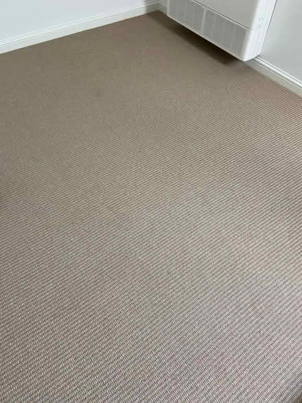 Photo of free Carpet (Annandale) #1
