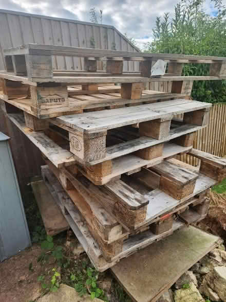 Photo of free Clean Wooden pallets (Bowbridge GL5) #1
