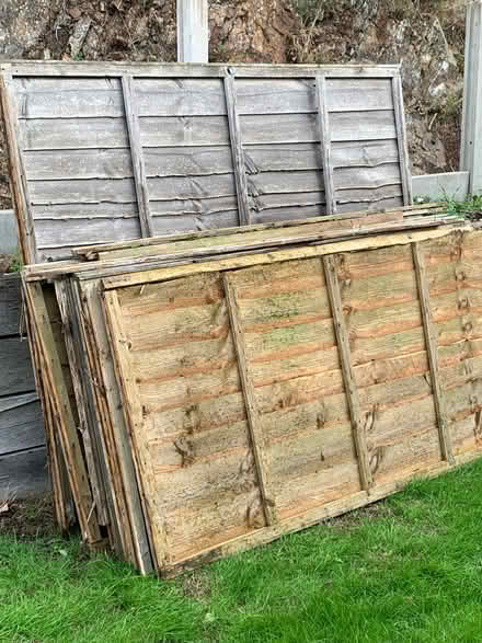 Photo of free Fence panels (Stiperstones SY5) #1