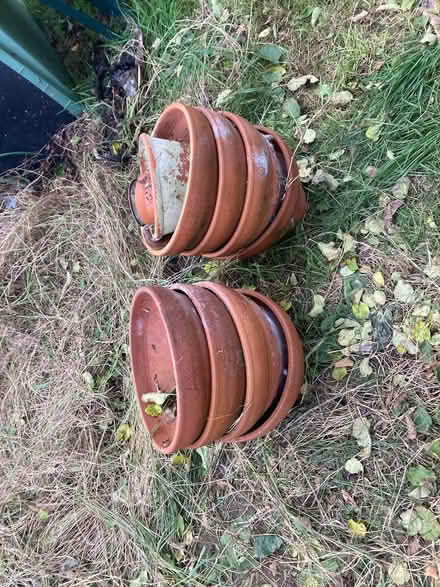 Photo of free Garden plant pots (Dunfermline KY11) #2