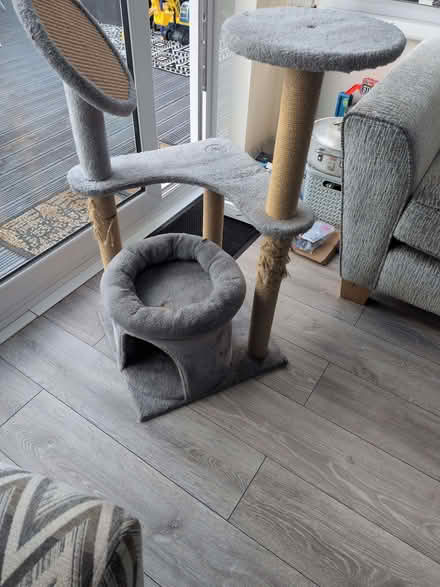 Photo of free Cat scratch post bed (Rise Park NG5) #1
